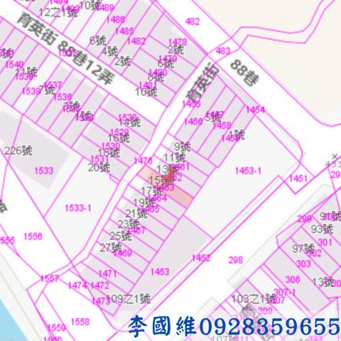 埔里法拍透天-2