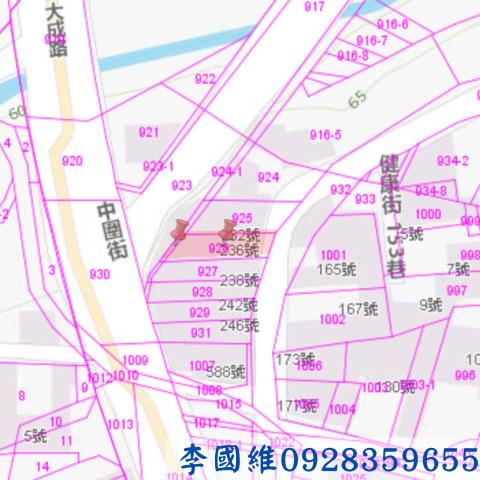 台南玉井法拍透天-2