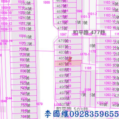 台南鹽水拍賣透天-2