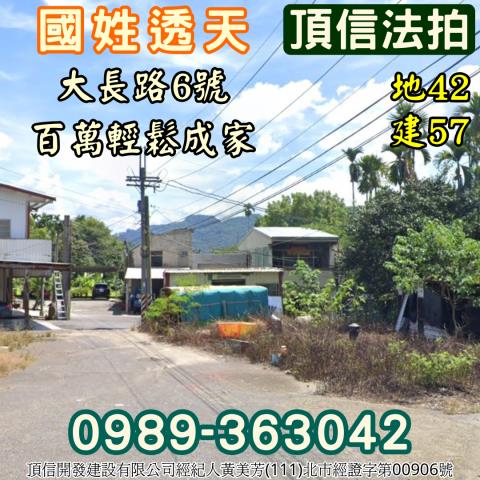 國姓透天法拍-1