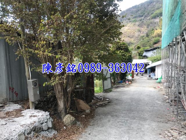 南投信義鄉休閒地-3