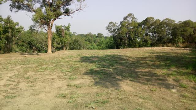 彰化彰化市農地-0