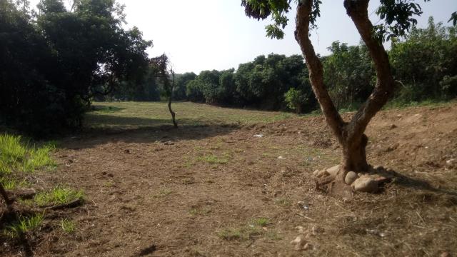 彰化彰化市農地-1