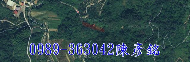 南投農地-9