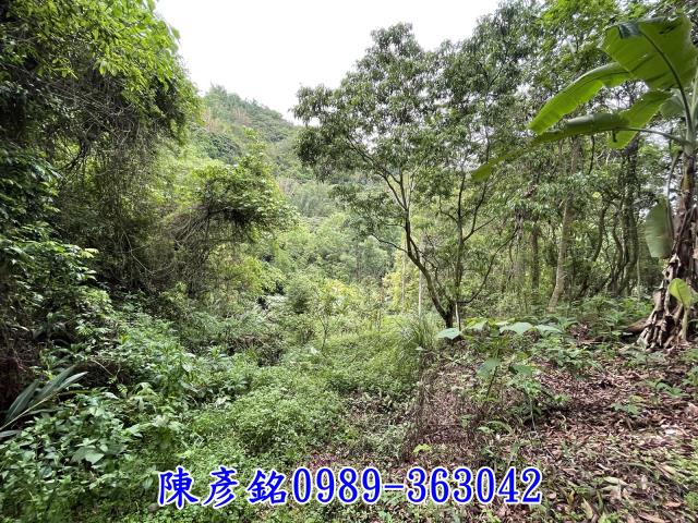 南投農地-6