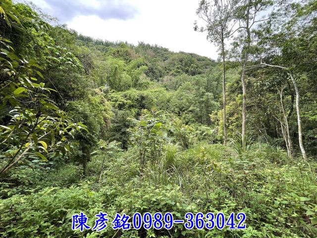 南投農地-3