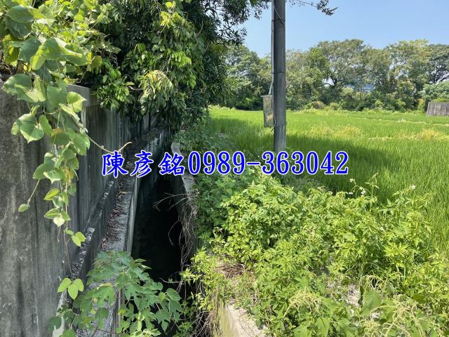 西屯農地-4