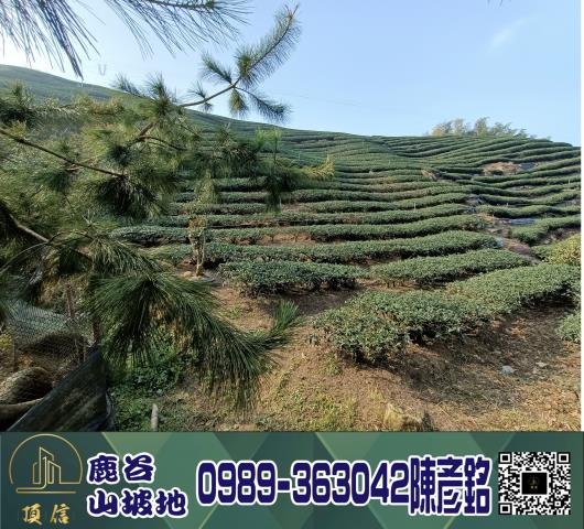 南投鹿谷工業地-1