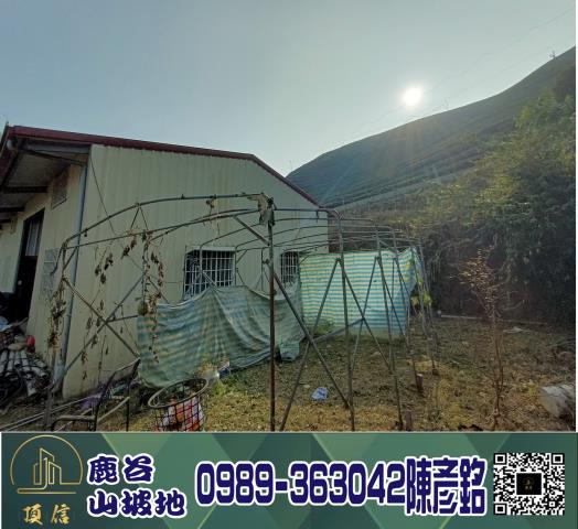 南投鹿谷工業地-2