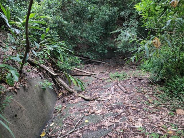 南投水里農地-0