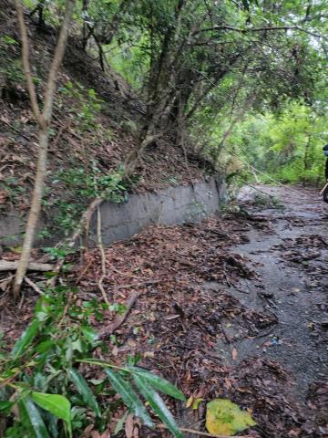 南投水里農地-2
