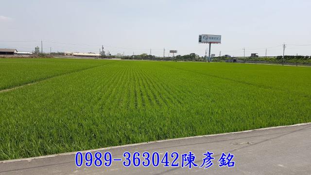 虎尾農地-0