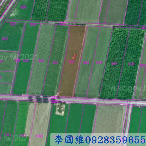 雲林東勢鄉農地法拍-2