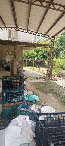 台中農地-3