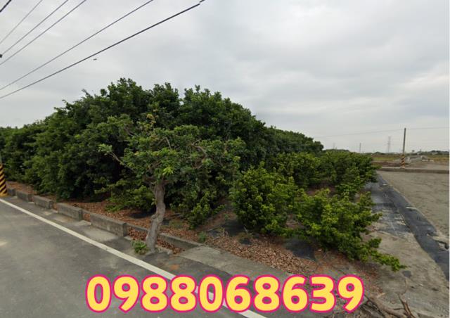 麥寮農地-0