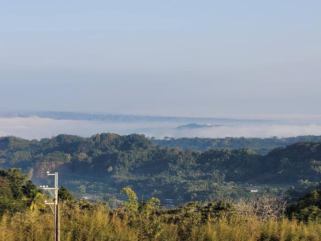 南投竹山農地-4