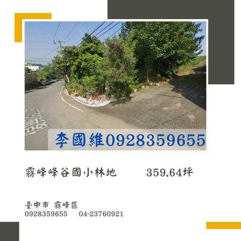 台中霧峰拍賣林地-0