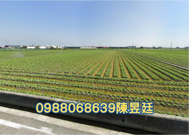 麥寮農地-1