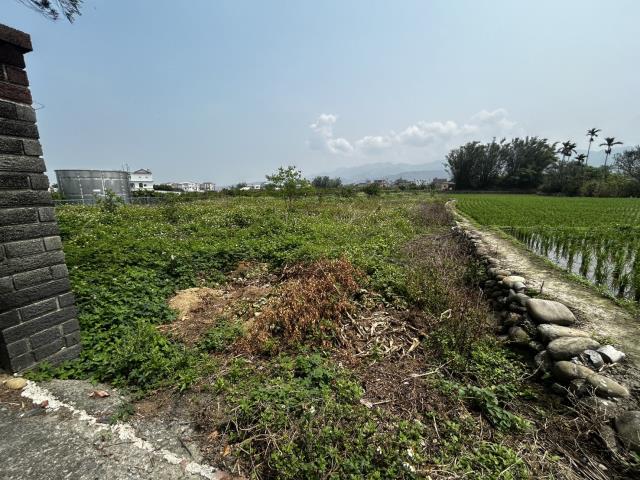 苗栗農地-2