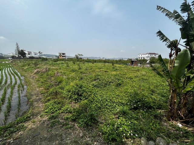 苗栗農地-4
