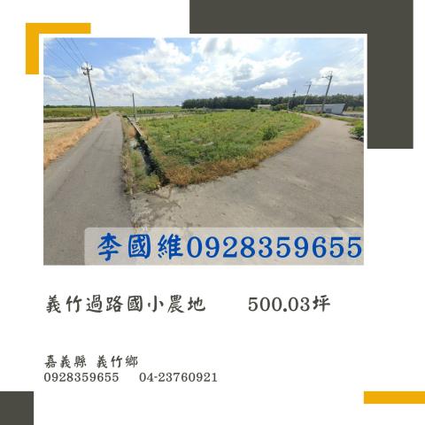 義竹法拍農地-0