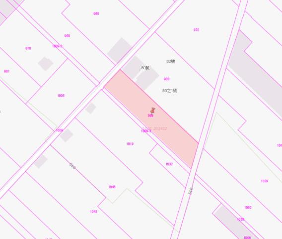 台中新社農地法拍-2