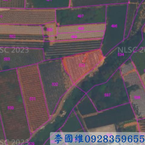 南投法拍農地-2