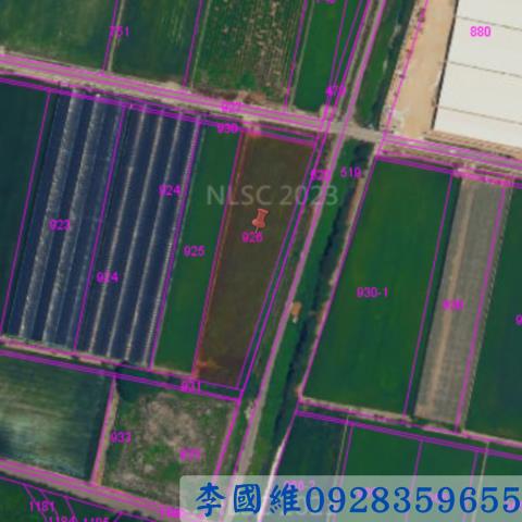 彰化大城法拍農地-2