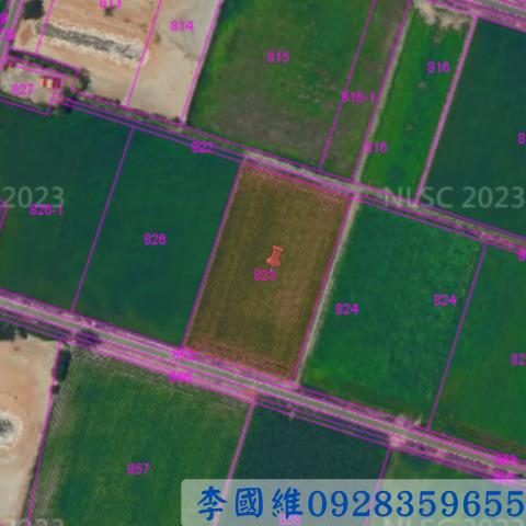 台西農地法拍-2