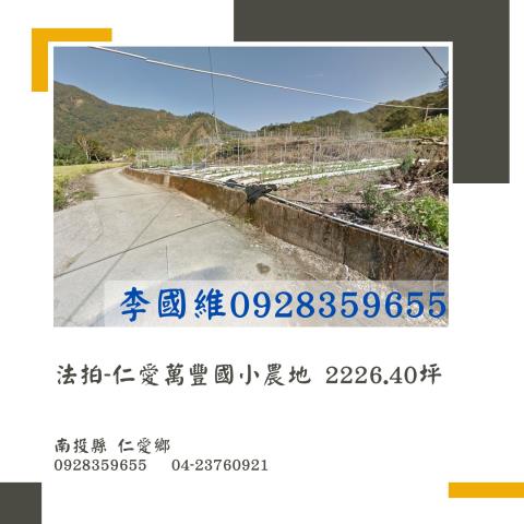 仁愛鄉農地法拍-0