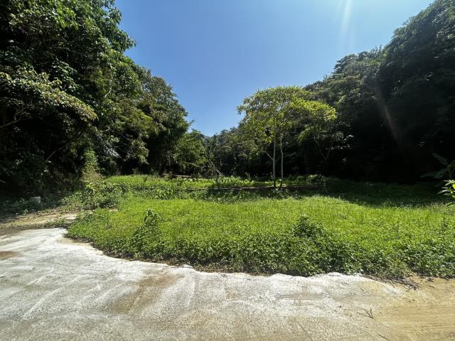 頭屋農地-3