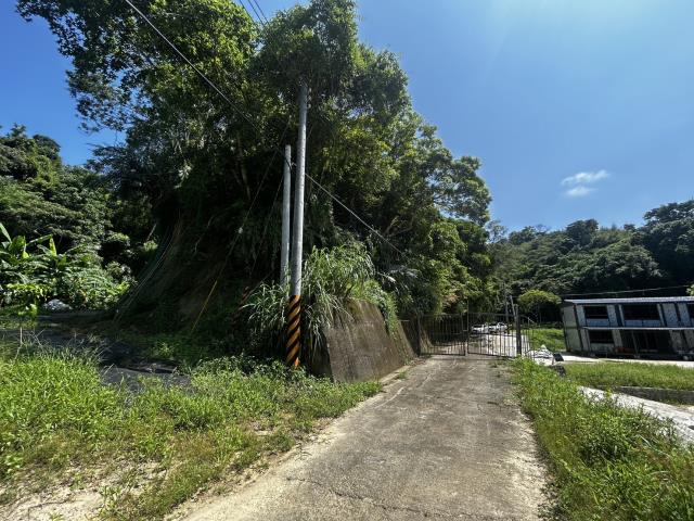 頭屋農地-7
