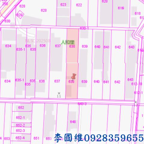 台南柳營法拍建地-2