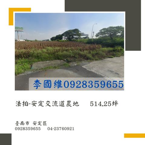 台南安定農地法拍-0