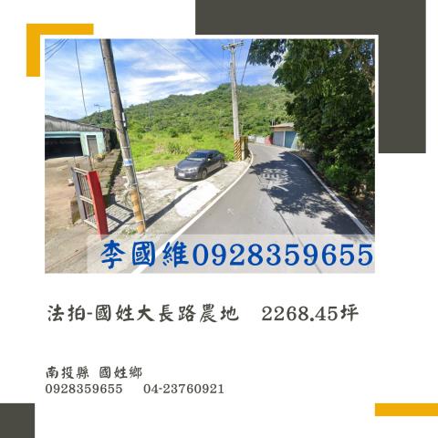 南投國姓拍賣農地-0