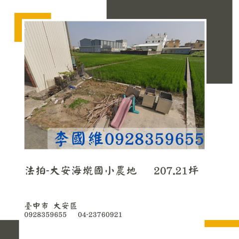 大安區農地法拍-0