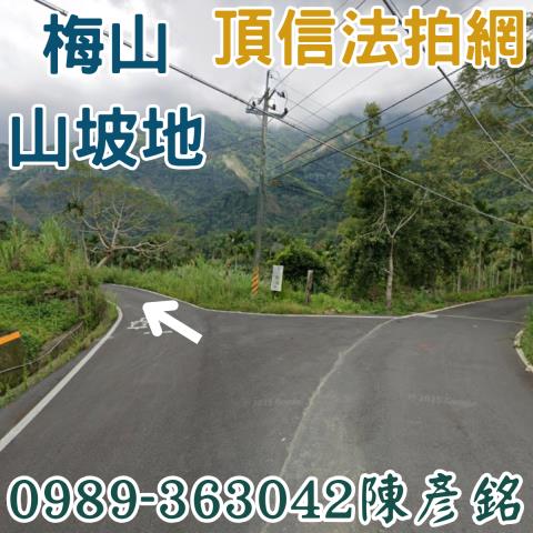 梅山拍賣農地-0