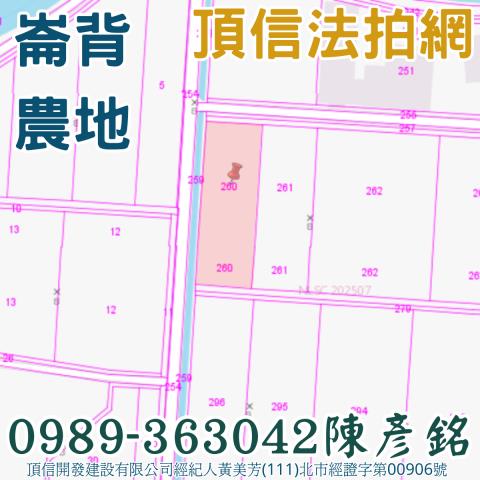 崙背農地法拍-3