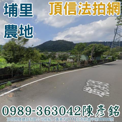 埔里農地法拍-1