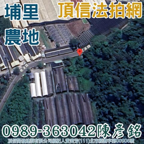 埔里農地法拍-2