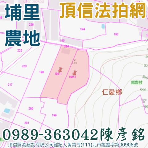 埔里農地法拍-3