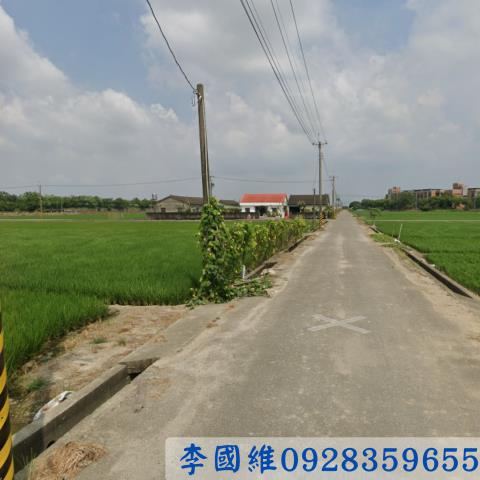 斗南農地拍賣-1