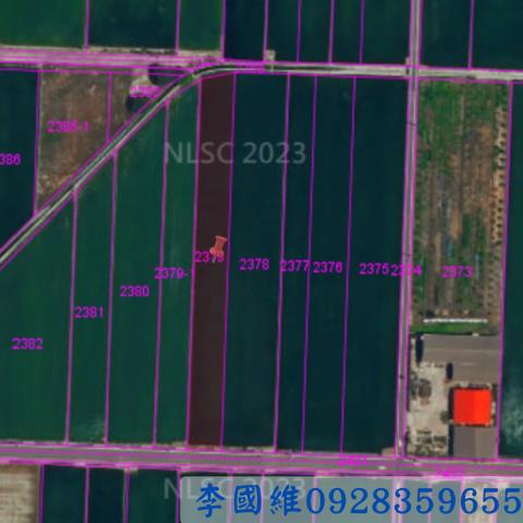 斗南農地拍賣-2