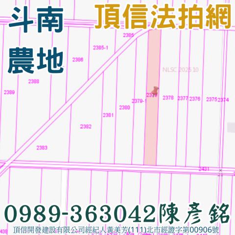 雲林斗南農地拍賣-2