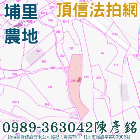 埔里農地法拍-2