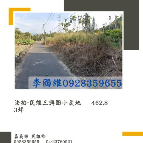 嘉義民雄法拍農地-0