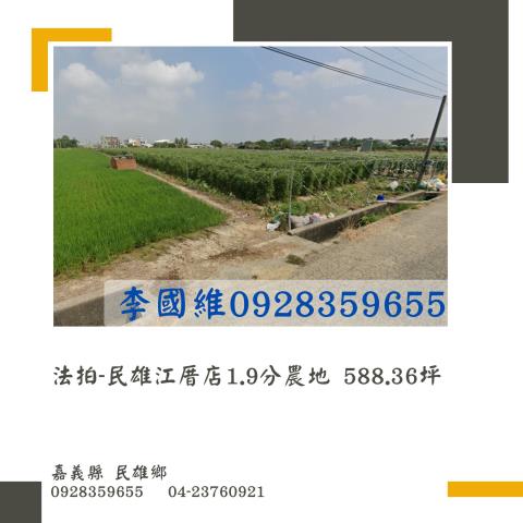 嘉義民雄法拍農地-0