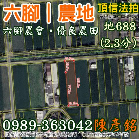 六腳農地法拍-2