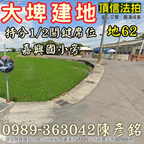 雲林大埤法拍建地-1