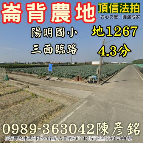 雲林崙背法拍農地-1